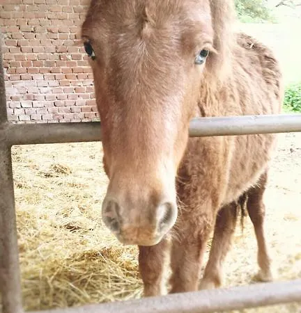 Cascina Nuova Cremona